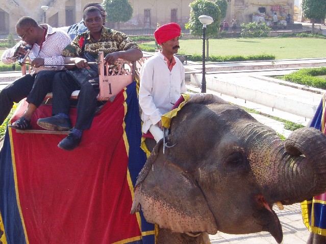 Elephant Ride, Jaipur, India (photo: Njei M.T)