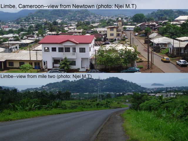 Limbe - JungleKey.fr Image