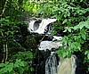 Jungle Stream, Cameroon (photo Njei, M.T)